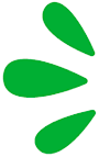 representación aloevera